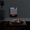 heat storm infrared 1000 watt heater mounted to the wall above puppy sleeping